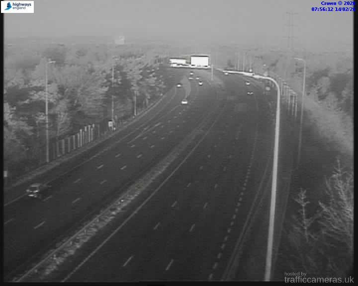 M60 56/6A J1 TRAVIS BROW