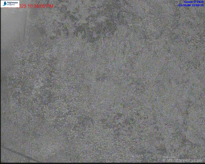 M1 244/9B J31-Woodall
